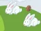 Crazy Eggs — 無料オンラインゲーム