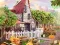 Taste the Tradition — 無料オンラインゲーム