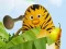 Die Dschungelhelden: Kung-Frucht Training — 無料オンラインゲーム