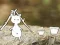 Our Little Island — 無料オンラインゲーム