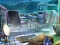 The Mysterious Creatures — 無料オンラインゲーム