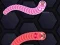 Angry Worms — 無料オンラインゲーム
