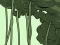 Abandoned the Forest — 無料オンラインゲーム