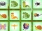 Find The Insect — 無料オンラインゲーム