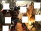 Transformers 3 image puzzles — 無料オンラインゲーム