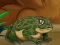 Frogs Matching — 無料オンラインゲーム