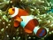 Underwater Hidden Numbers — 無料オンラインゲーム