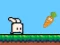 Bouncing Bunny — 無料オンラインゲーム