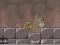 Roly-Poly Eliminator 2 — 無料オンラインゲーム