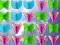 Butterfly Collector — 無料オンラインゲーム