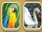 Match Zoo — 無料オンラインゲーム