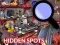 Hidden Spots In The Room — 無料オンラインゲーム