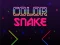 Color Snake — 無料オンラインゲーム