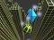Marble Rolling Stunt — 無料オンラインゲーム