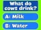 Trivia Best Family Quiz — 無料オンラインゲーム