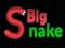 Big Snake.io — 無料オンラインゲーム