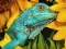 Ultimate Puzzles Animals 6 — 無料オンラインゲーム