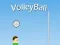 VolleyBall — 無料オンラインゲーム