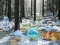 Winter Wonderland Forest Adventure — 無料オンラインゲーム