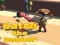 Catsh the robber — 無料オンラインゲーム