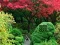 Maple Leaf Garden Escape — 無料オンラインゲーム