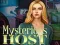 Mysterious host — 無料オンラインゲーム