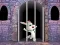 Victory Rabbit Escape — 無料オンラインゲーム