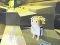Kogama: Adventure — 無料オンラインゲーム
