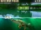 Willow Pond — 無料オンラインゲーム