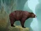 Caged Tiger Cub Escape — 無料オンラインゲーム