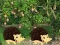Escape From Mango Farm — 無料オンラインゲーム