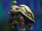 Isolated Turtle Escape — 無料オンラインゲーム