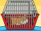 Rescue The Hamster From Cage — 無料オンラインゲーム