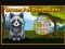 Dream Pet Dimensions — 無料オンラインゲーム