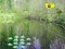 Sunlight Forest Adventure — 無料オンラインゲーム