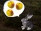 The Foggy Forest — 無料オンラインゲーム