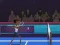 Badminton Brawl — 無料オンラインゲーム