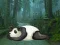 Wakeup The Sleeping Panda — 無料オンラインゲーム