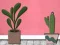 Find Houseplant — 無料オンラインゲーム