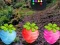 Escape From Fascinated Jungle — 無料オンラインゲーム