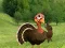 Ready To The Thanksgiving Party — 無料オンラインゲーム