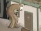 Tree Need Water — 無料オンラインゲーム