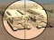 Camo Sniper — 無料オンラインゲーム
