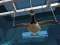 Goose Museum — 無料オンラインゲーム