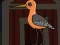 Cute Godwit Escape — 無料オンラインゲーム