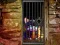 Hidden Cat Escape — 無料オンラインゲーム