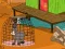 The Amiatina Escape — 無料オンラインゲーム