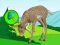 The Deer Meadow Escape — 無料オンラインゲーム