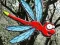 Escape From Dragonfly Forest — 無料オンラインゲーム