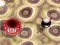 Bouncing Blob — 無料オンラインゲーム